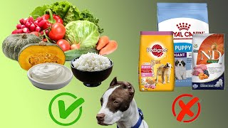 pitbull diet | best homemade food for dogs | only veg + homemade diet #creatingforindia #pitbulldiet
