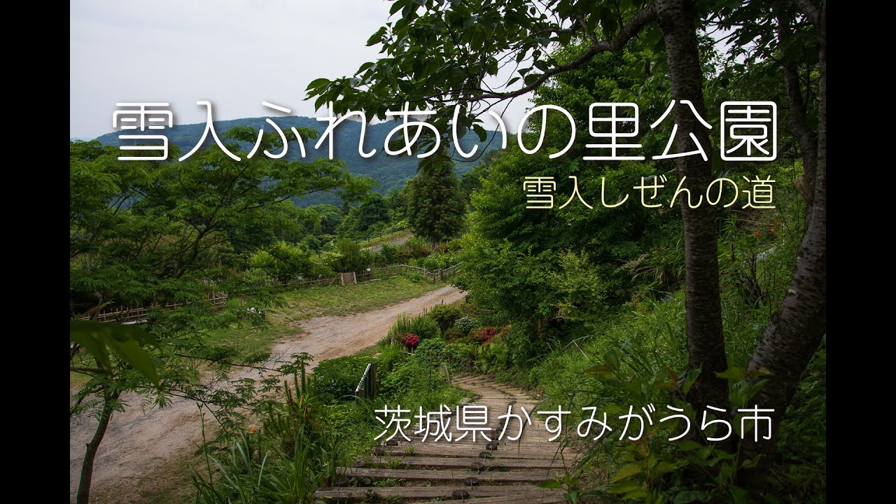 茨城県かすみがうら市 雪入ふれあいの里公園 雪入しぜんの道 Youtube