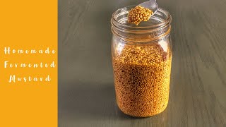 Homemade Fermented Mustard