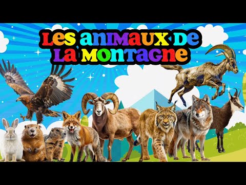 Les ANIMAUX DE LA MONTAGNE Et Leurs CRIS LUDOKIDS 