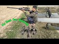 Bird hunting with air gun best dead shotmz birds hunting