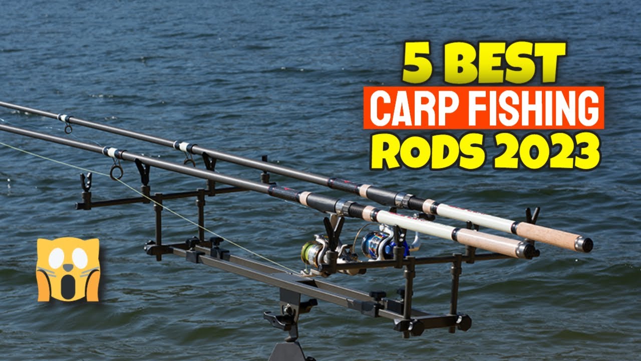 5 Best Carp Fishing Rods In 2023