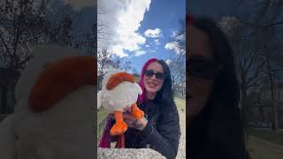 Biggest JellyCat haul yet! #jellycat #shopwithme #jellycatcollection #jellycathaul #jellycatcollect
