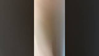 Panoramic Ocean View Room 1860  Voyagers Of The Sea Royal Carribean