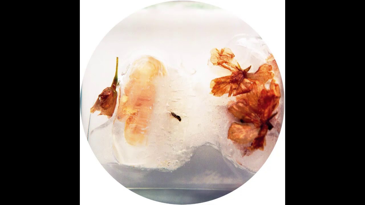 Bas Amro - Languor [OBQ006]