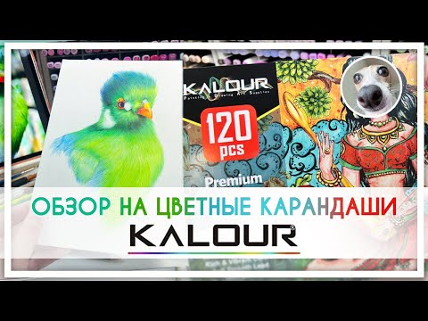 Обзор на китайские цветные карандаши KALOUR