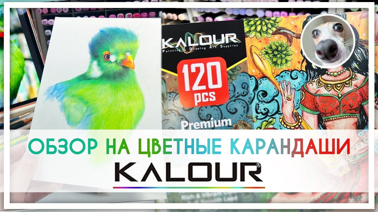 Обзор на китайские цветные карандаши KALOUR