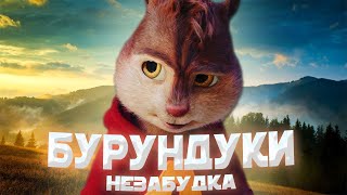 БУРУНДУКИ - Незабудка // ТИМА БЕЛОРУССКИХ - Незабудка