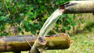 Bamboo Water Fountain With Birds Chirping | Soothing Nature sounds | 4K Video Ultra HD