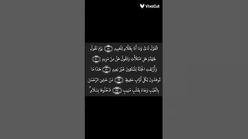 #اكسبلور #القران #لايك #المصحف #الرحمن #راحة_نفسية #تلاوات_رائعة #القرآن_الكريم #المصحف #Muslim