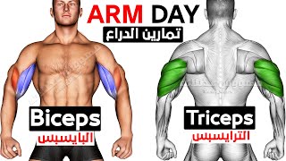 How To Build Your arms Fast ( Biceps - Triceps )-تمارين باي وتراي