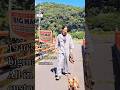 通気性が良くて簡単オシャレはツナギ　　　　　　　　　　　　　　#ショート動画 #オールドファッション #オールインワン #サロペット #古着 #ヴィンテージ #伊豆