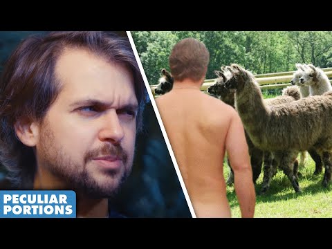 You Can Now Go Naked Walking With Llamas