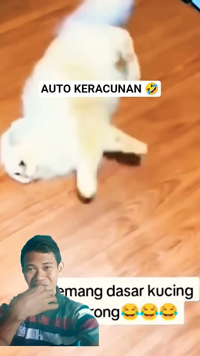 LOL, there's no cure 🤣 (AUTO POISONING)