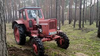 Belarus MTS-52 bei der Waldarbeit