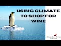 Wine 101. How to shop for wine using climate