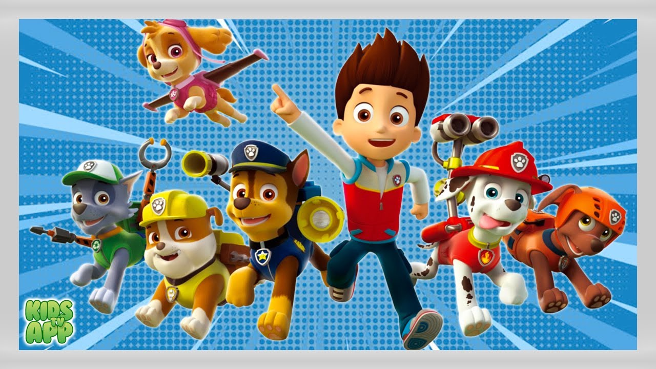 memory paw patrol
