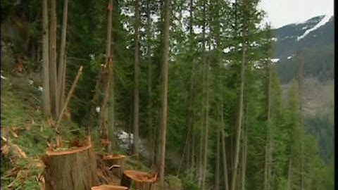 Heli-Logging (1 of 8): Introduction