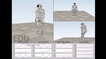 Gait and Balance Control Using Dual Quaternion for a Humanoid Robot