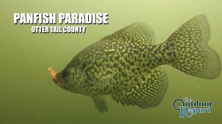 How to catch Panfish in Otter Tail County