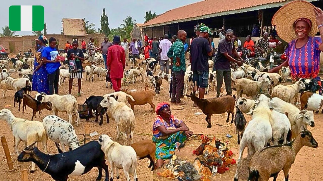 Largest African Village Market Day in Wannune Nigeria 🇳🇬 West Africa