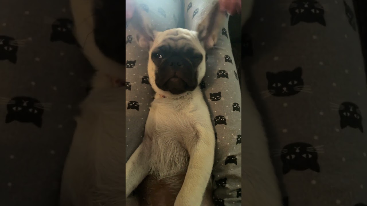 She’s a start (thanks so my brother and sister for helping me!) 