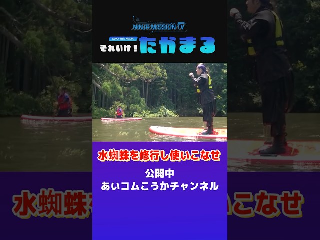 それいけ！たかまる「水蜘蛛をマスターせよ」  #shorts #忍者 #水蜘蛛