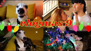 🎄VLOGMAS 9🎄 ¡ARMAMOS EL ARBOLITO DE NAVIDAD!