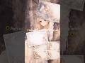 Stepping to magical world of creation with this Anime Angel printable Journal Kit #fineleiacreations