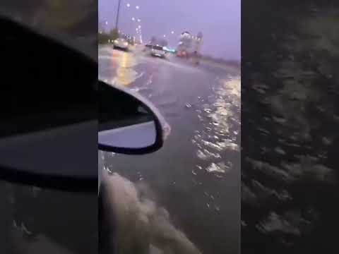 الهفوف منفذ سلوى الصباح