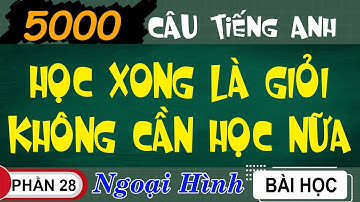 Phần 28- Ngoại Hình (5000 Câu Tiếng Anh)