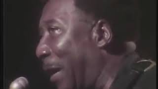 Muddy Waters - I'm Your Hoochie Coochie Man