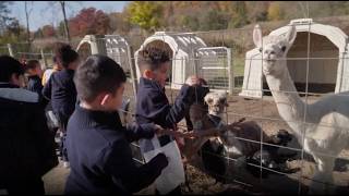 Celebrity Classroom Correspondents: Apple Picking Field Study with Jayden Wealth
