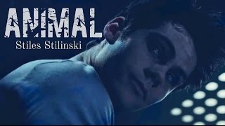 Stiles Stilinki | Animal