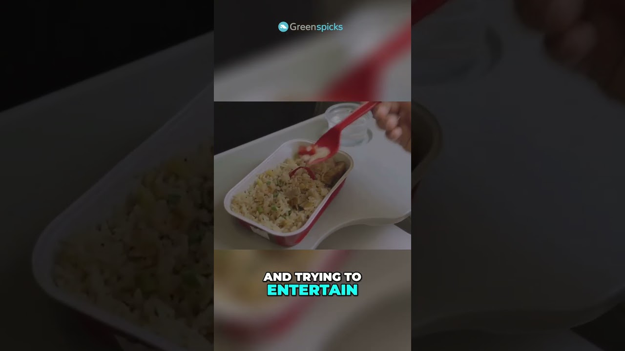 Surviving 17 Hours of Airplane Travel: Tips & Tricks