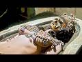 वैज्ञानिक भी है हैरान इनसे | Most Amazing Finds Archaeologists Still Can’t Explain
