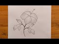 Easy hibiscus flower drawing step by step pencil drawing tutorial 