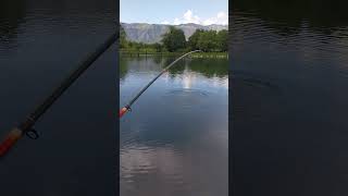 #pescare,#trota #pesca #trout #troutfishing #fishing #fishinglife #spinning #pescaesportiva #travel