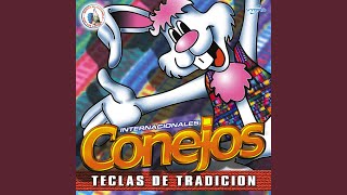 Video thumbnail of "Internacionales Conejos - Mi Lupita"