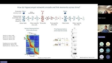 Sybeco: Jiannis Taxidis; Sensory Temporal Representations in Context-Specific Hippocampal Sequences