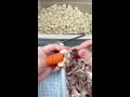 🔴Live Street Food Cooking | Fast Chef Skills, Fresh Taste & Food Lovers Cam