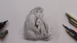 How to Draw a Monkey : Monkey Drawing with Pencil Sketch