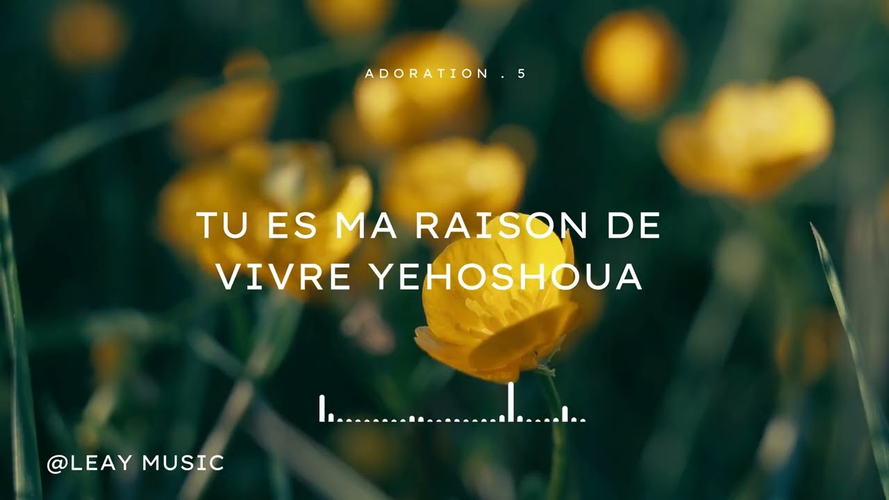 Tu es ma raison de vivre Yehoshoua, le souffle de ma vie — Adoration