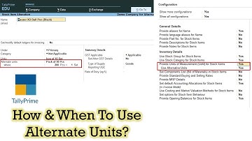How To Use Alternate Units in Tally Prime Tutorial - Lesson 18