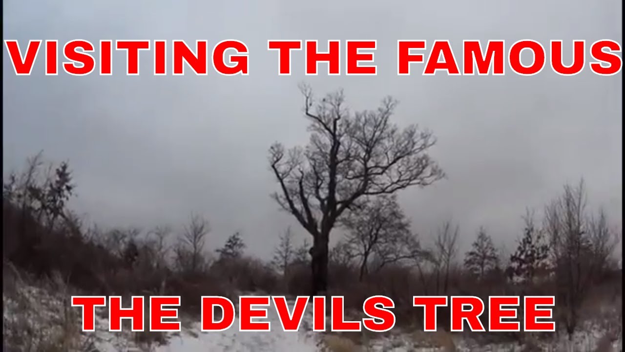new jersey devil tree