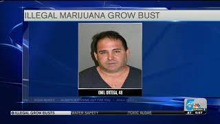 Two arrested after illegal grows found in Pueblo West homes