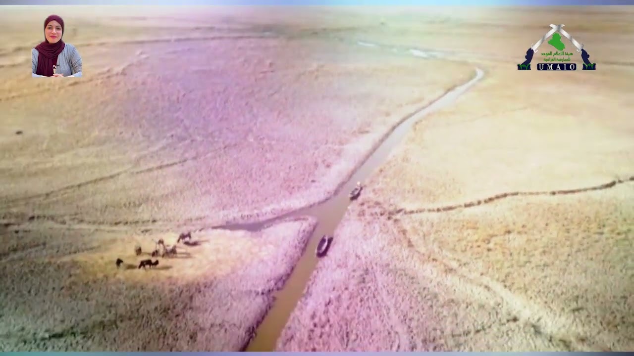 تقرير | مليون شجرة سقطت ضحية الجفاف في العراق