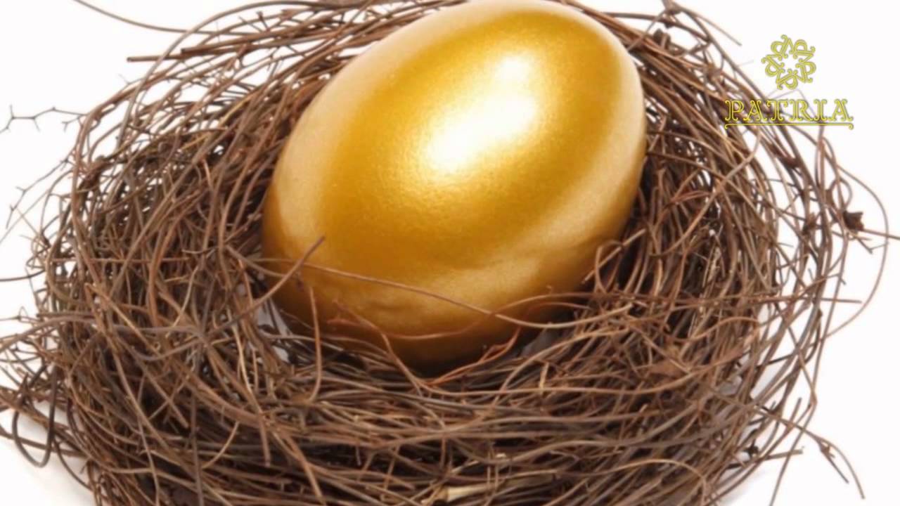 Золотые яйца 2. Золотое яичко Курочка Ряба. Золотое яйцо. Золотое яйцо курочки Рябы. Золотое яичко сказка.