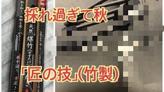 【耳掃除】耳かき「匠の技（煤竹製）」を使ってみたら採れ過ぎて実りの秋【20210528】