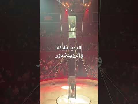 الدنيا فايتة